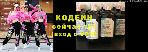 стаф Вяземский
