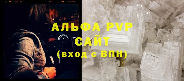 стаф Вяземский