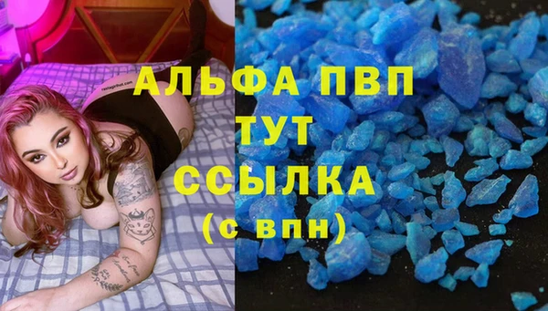 стаф Вяземский