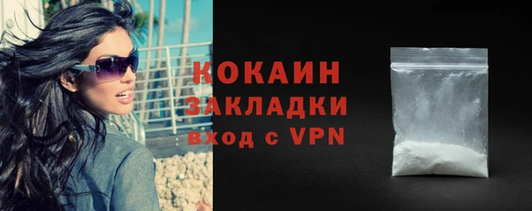 стаф Вяземский