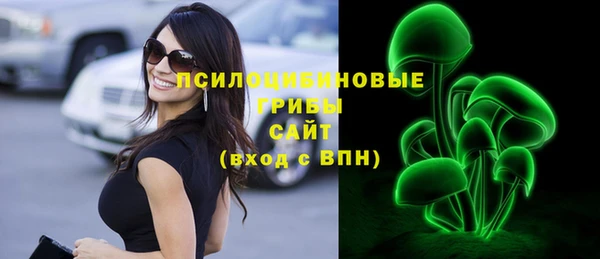 стаф Вяземский