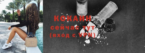 стаф Вяземский