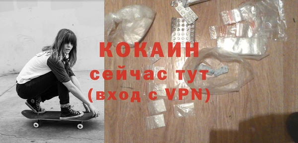 стаф Вяземский