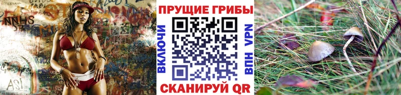 Галлюциногенные грибы Psilocybe  Заозёрск 